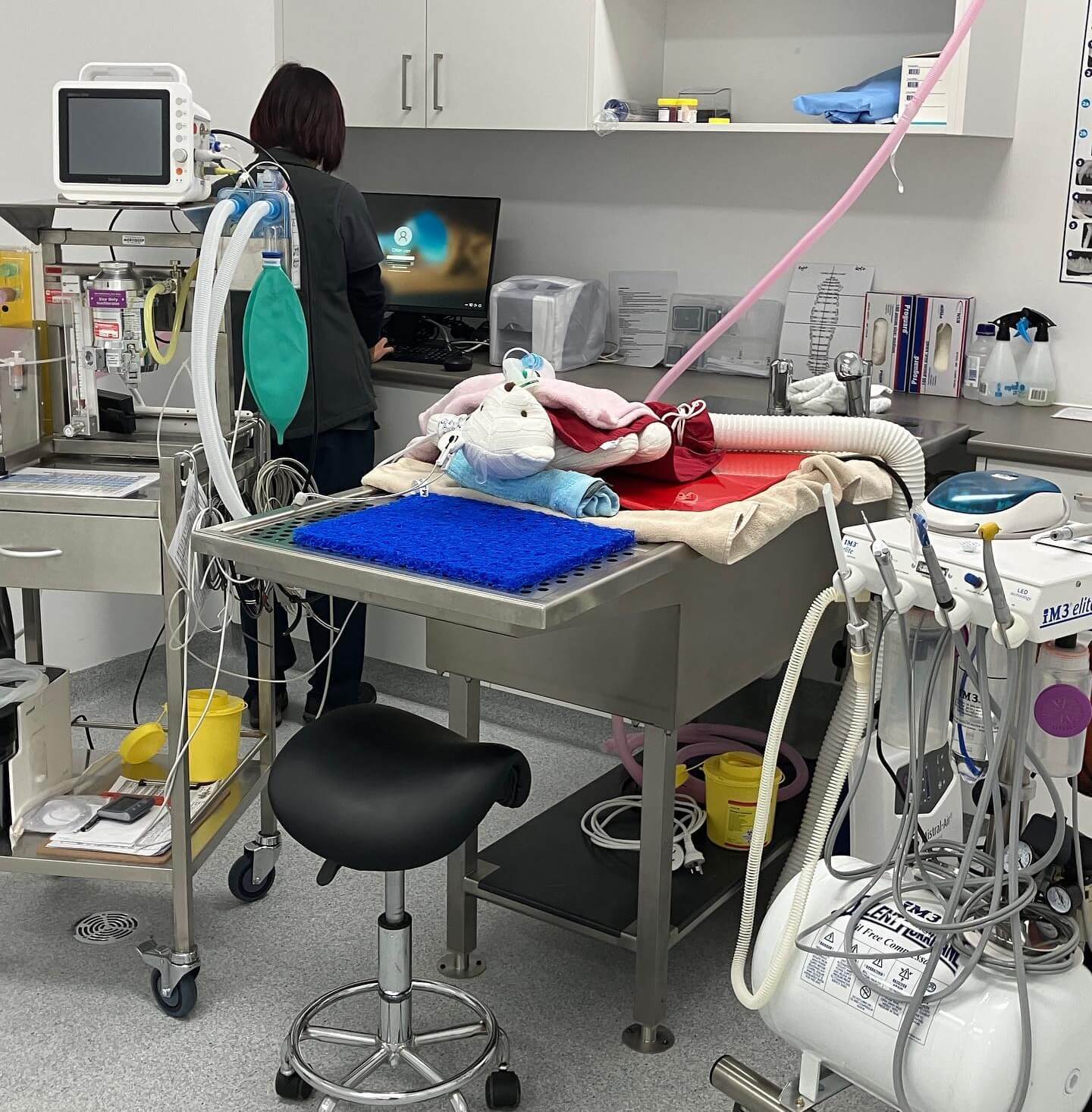 Hospital and Surgeries