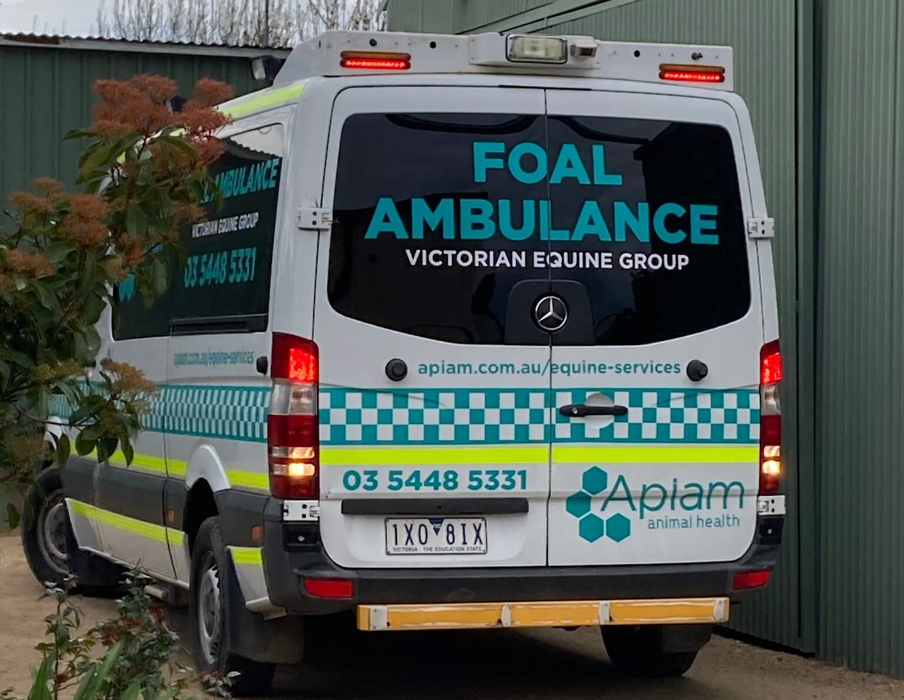Foal Ambulance